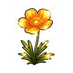 Shining Bigmoss Flower