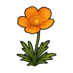 Bigmoss Young Flower