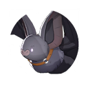 Domesticated Big-horn Bat