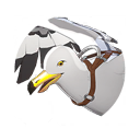 Domesticated Seagull