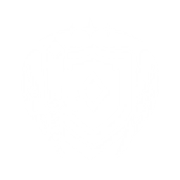 Secret Fairy Technique: Wild Swings