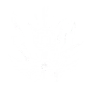 Lightning Dragon's Wrath