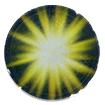 Purified Divine Gift