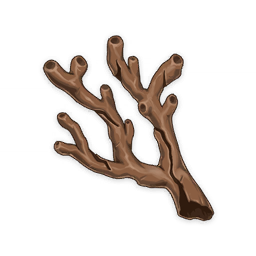 Branch
