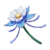 Glaze Lily