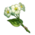Qingxin