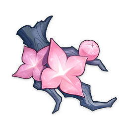Unscorched Blossom Branch