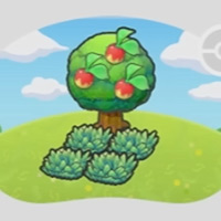 Tree-Shaded Tall Grass