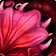 Glyph of Efflorescence