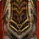Malevolent Gladiator's Kodohide Robes
