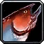 Raw Spinefin Halibut