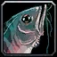 Raw Bristle Whisker Catfish
