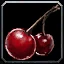 Hyjal Berries