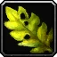 Stranglekelp