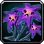 Plaguebloom
