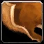 Chimera Leather