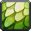 Green Whelp Scale