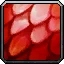 Red Whelp Scale