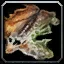Medium Hide