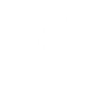 Botany Experiment