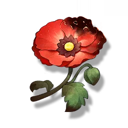 Belle Poppy