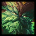 Ornn