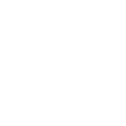 BoomBots