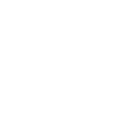 Cyberboss
