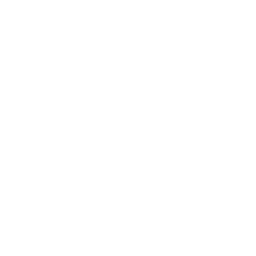 Divinicorp