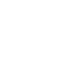 Street Demon