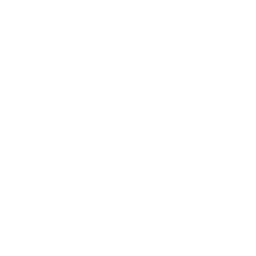 Techie